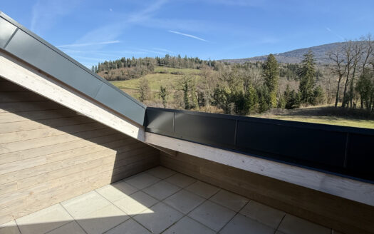 Duplex inversé T.4 – Vieugy B.4