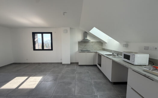 Duplex inversé T.4 – Vieugy B.4