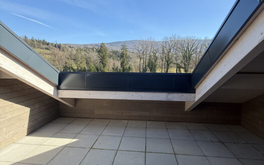 Duplex inversé T.4 – Vieugy B.4