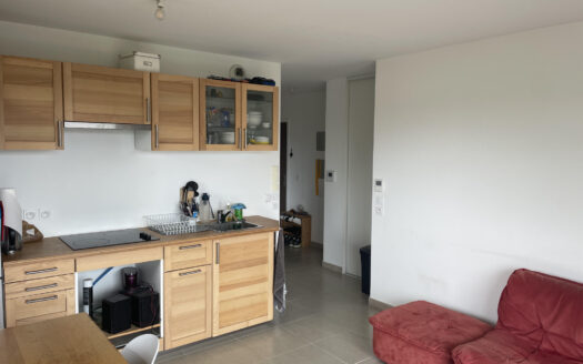 Appartement T2 de 41 m2 avec balcon et garage Résidence 20