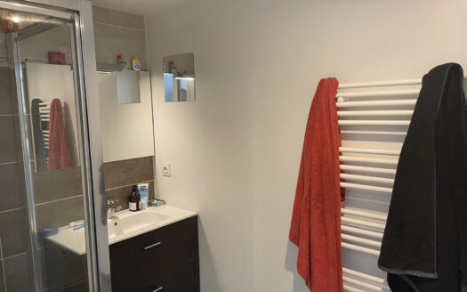 Appartement T2 de 41 m2 avec balcon et garage Résidence 20