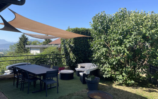 Immobilier de prestige : maison avec terrasse en vente à Ann