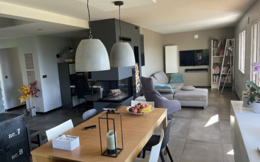 Immobilier de prestige : maison avec terrasse en vente à Ann