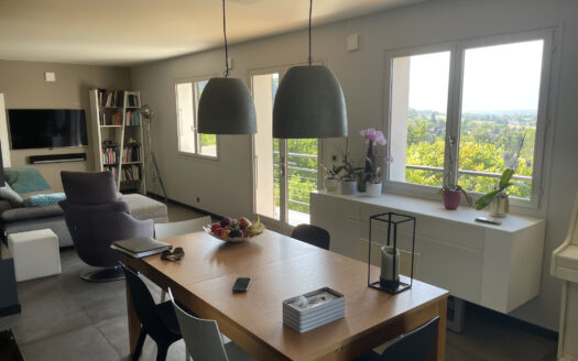 Immobilier de prestige : maison avec terrasse en vente à Ann