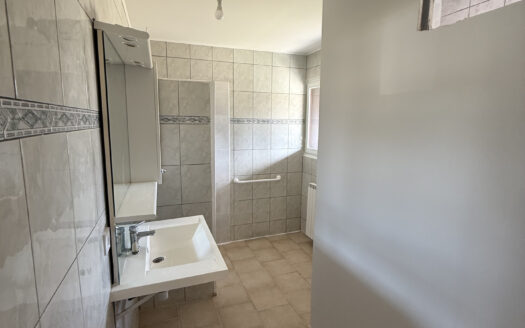 Maison avec 3 chambres en vente 499000 EUR à La Balme-De-Silli